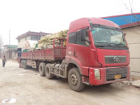 ʯ���N���Cе�S���N��ʯ���컨���O��S�Ұl؛